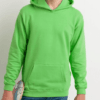 lightgreen hoodie